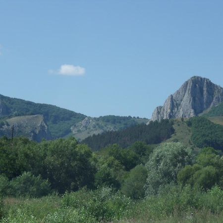 Studiouri Valisoara Экстерьер фото