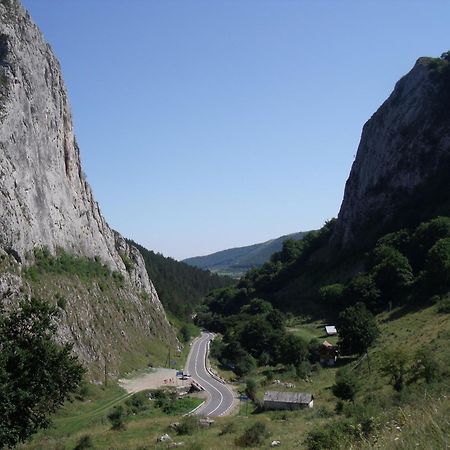 Studiouri Valisoara Экстерьер фото