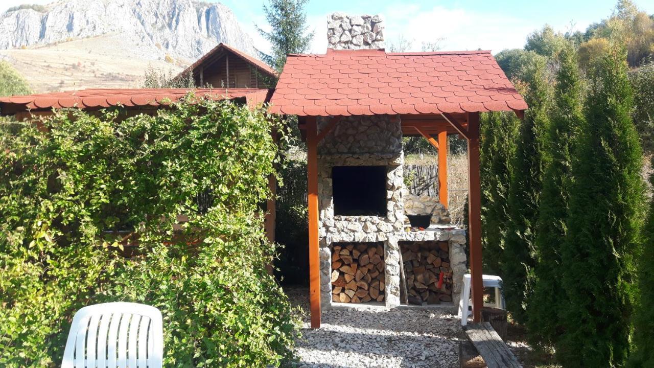 Studiouri Valisoara Экстерьер фото