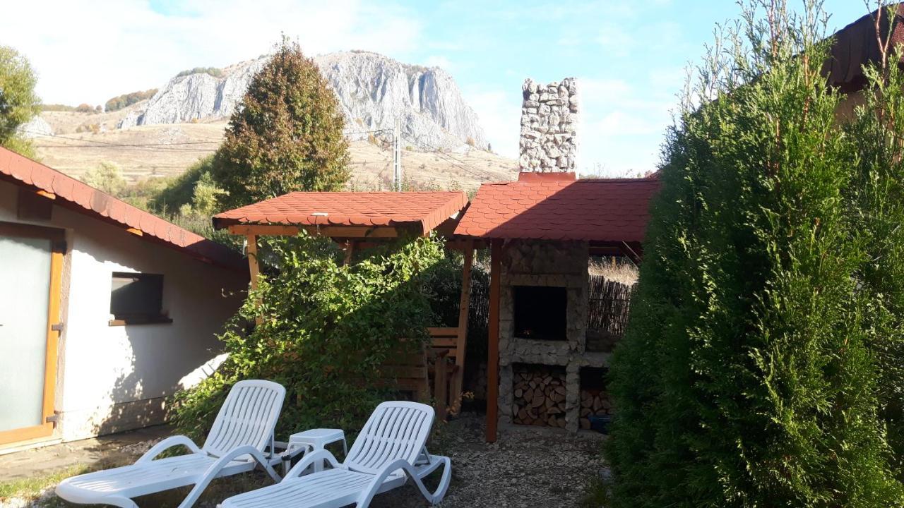 Studiouri Valisoara Экстерьер фото