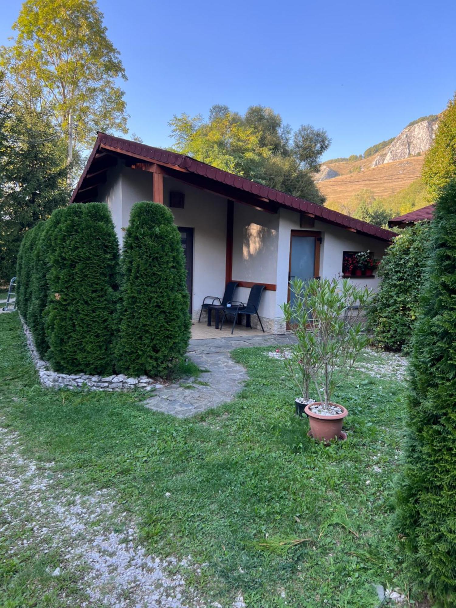 Studiouri Valisoara Экстерьер фото