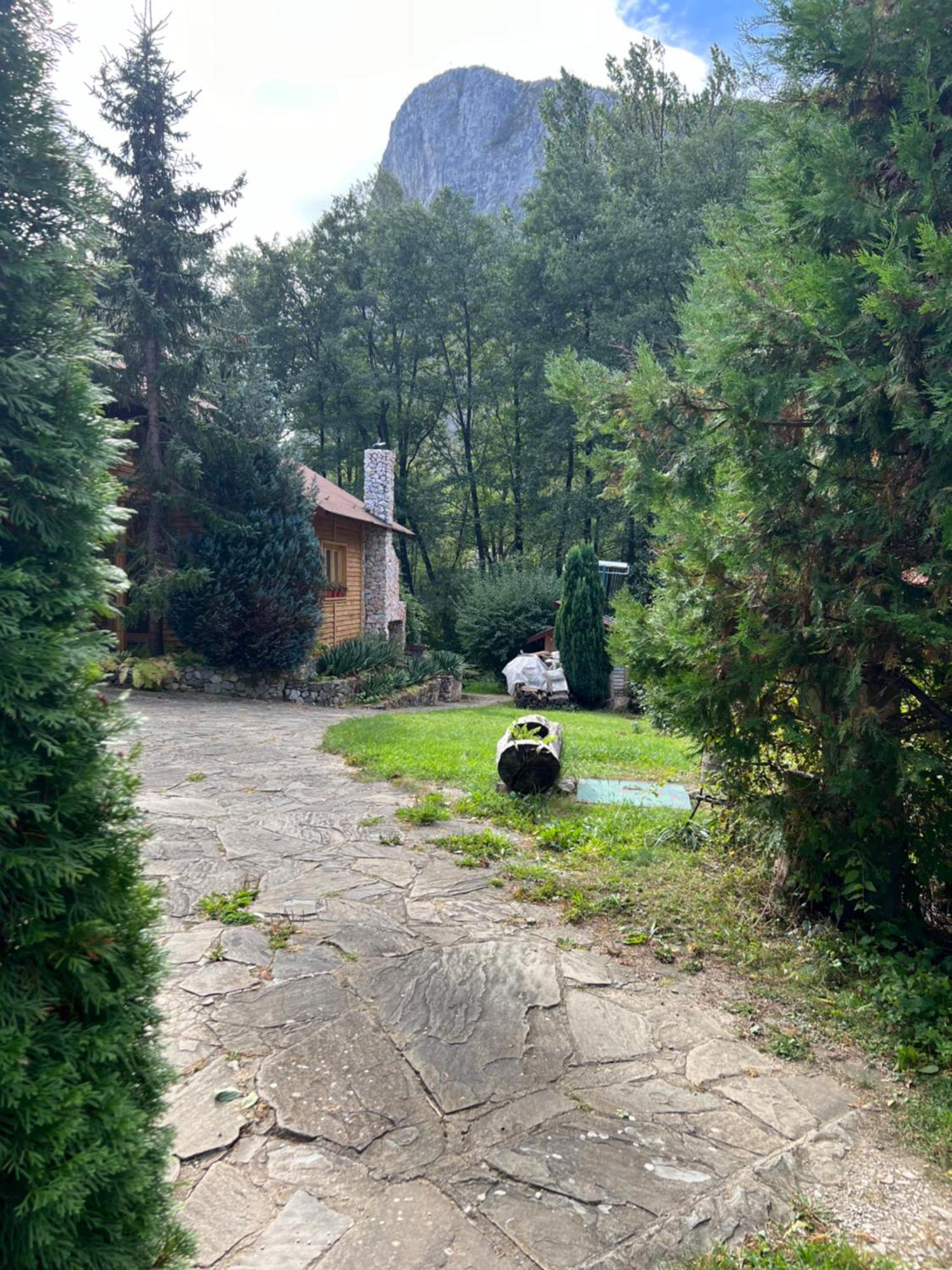 Studiouri Valisoara Экстерьер фото