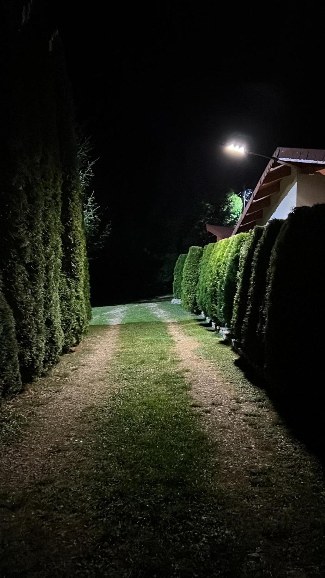 Studiouri Valisoara Экстерьер фото