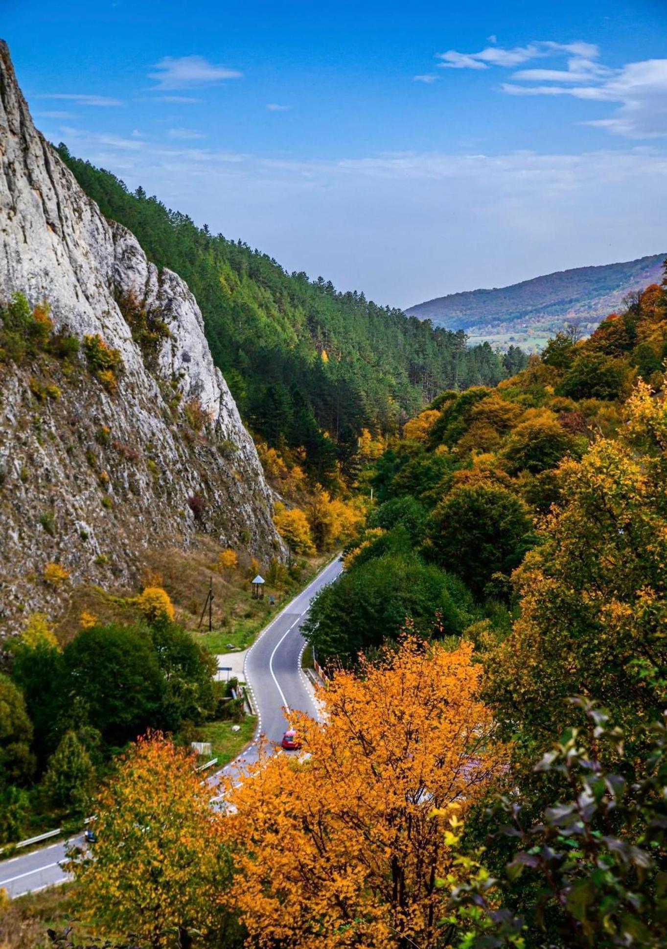 Studiouri Valisoara Экстерьер фото