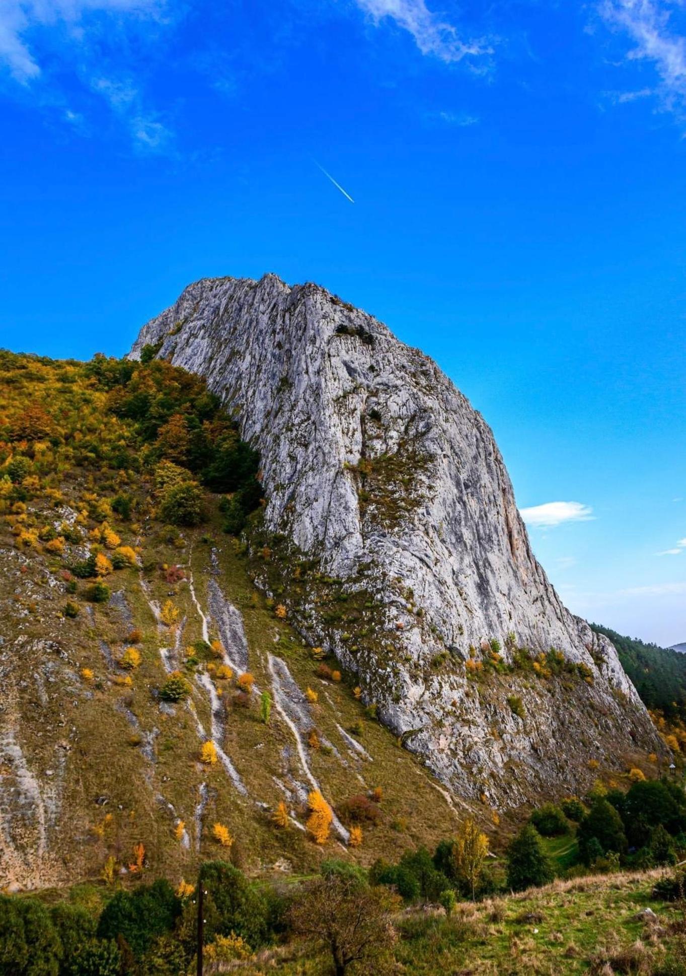 Studiouri Valisoara Экстерьер фото