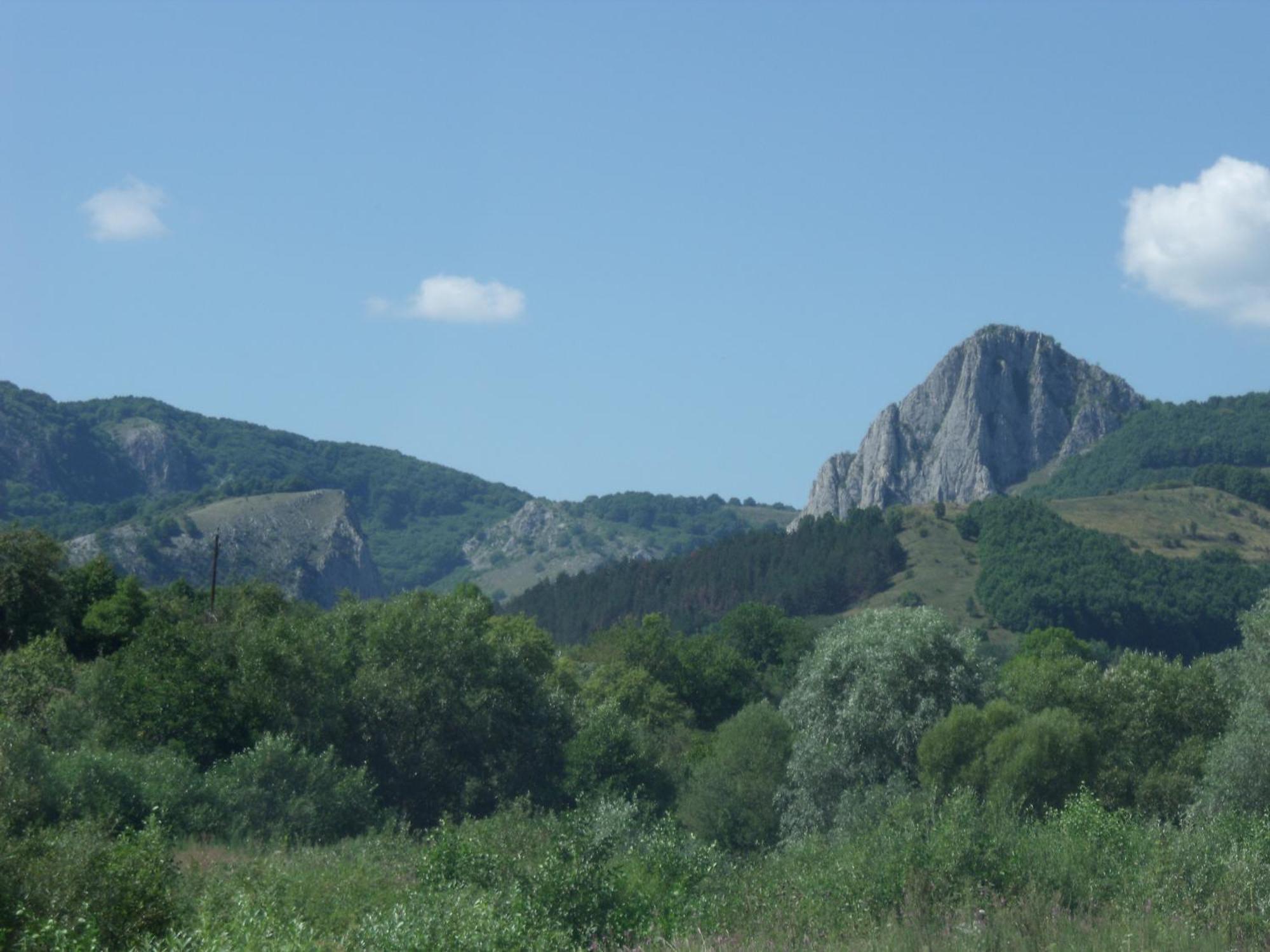 Studiouri Valisoara Экстерьер фото