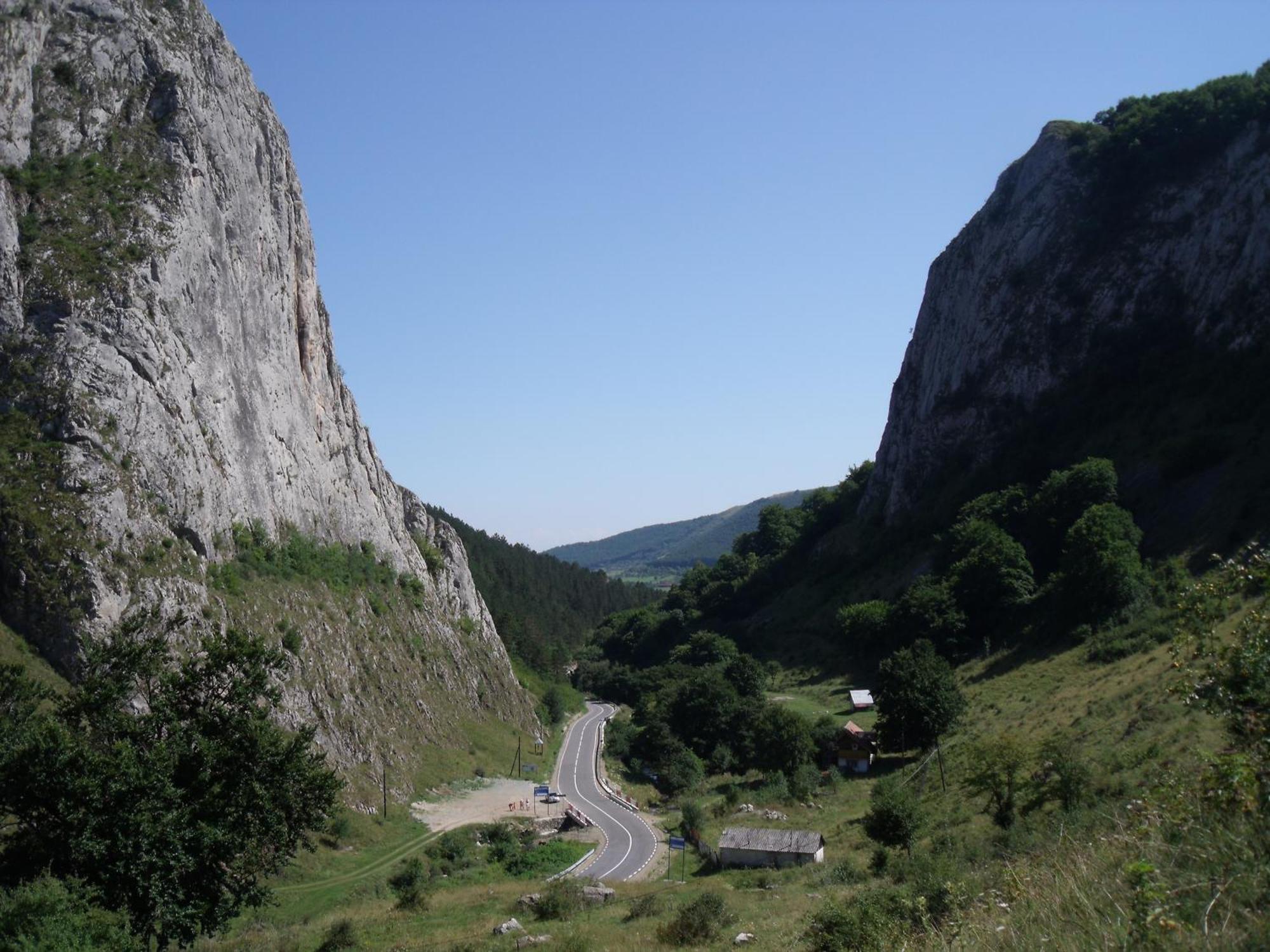 Studiouri Valisoara Экстерьер фото