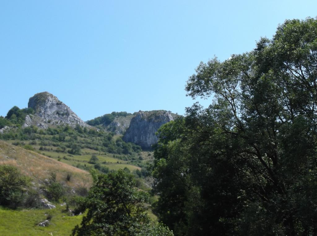 Studiouri Valisoara Номер фото