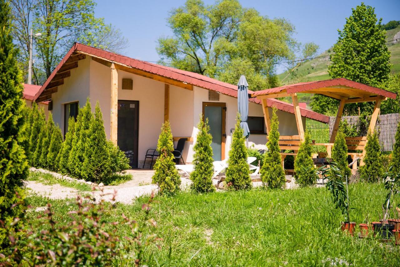 Studiouri Valisoara Экстерьер фото