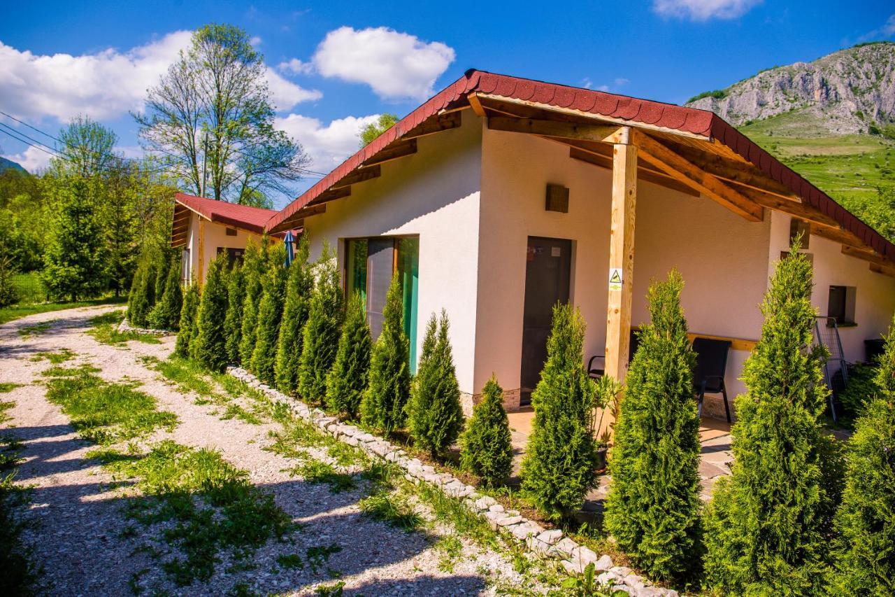 Studiouri Valisoara Экстерьер фото
