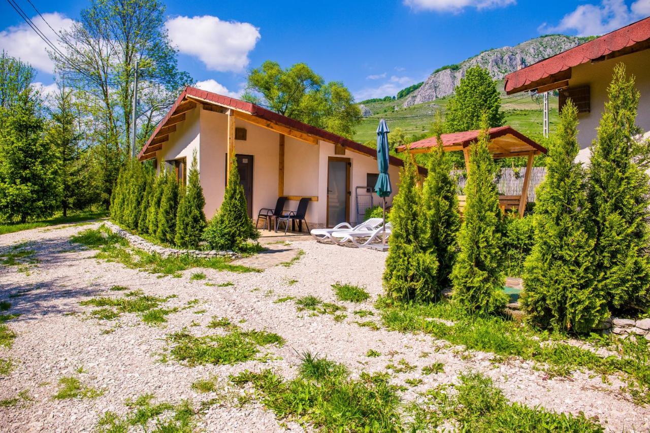 Studiouri Valisoara Экстерьер фото