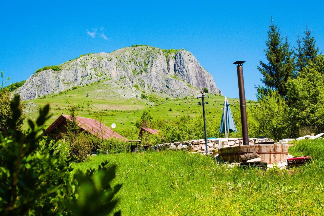 Studiouri Valisoara Экстерьер фото